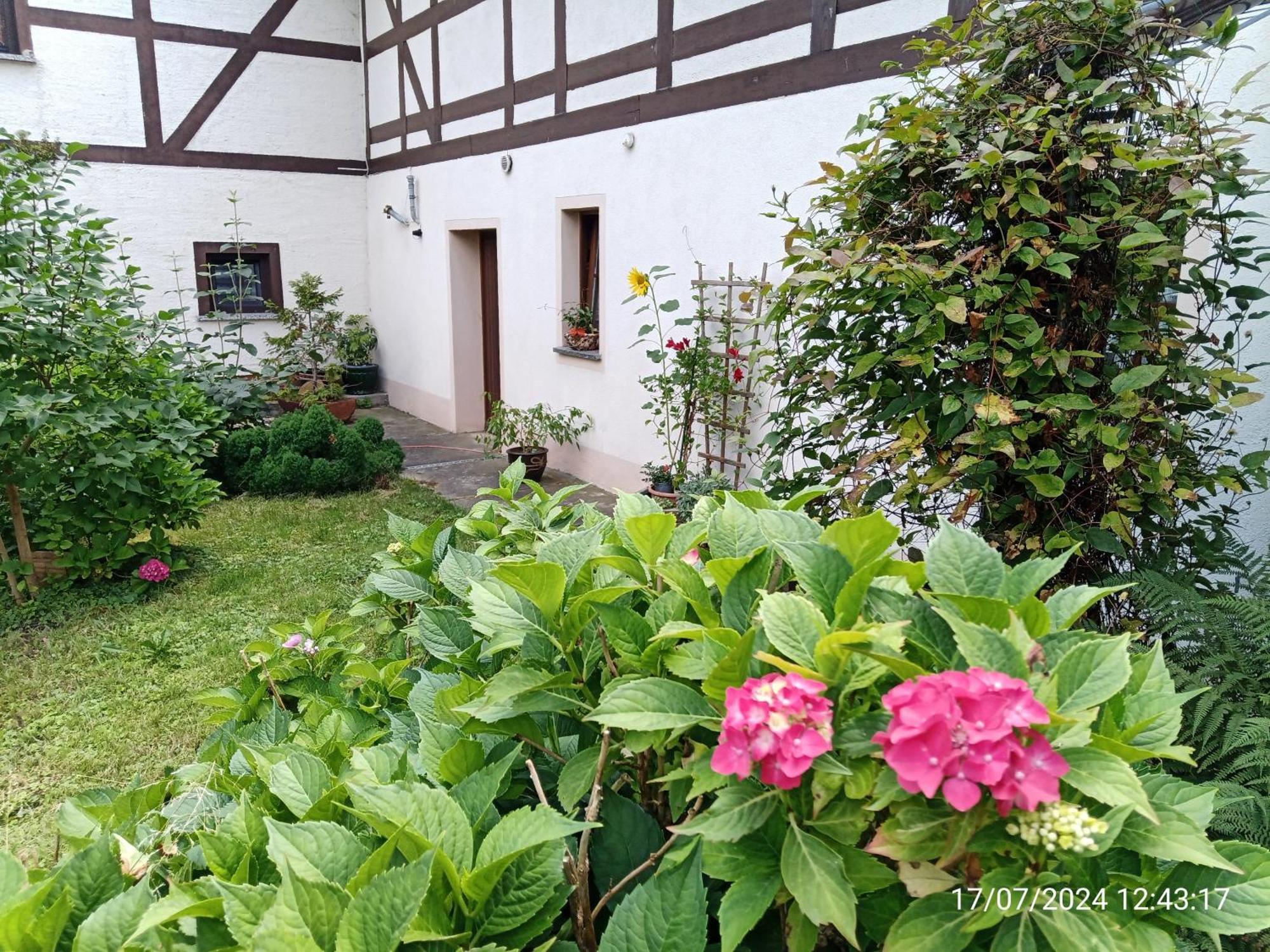 Zimmervermietung Dresde Exterior foto
